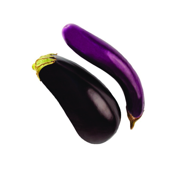 Eggplant PIC