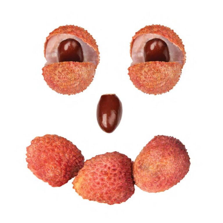 L fruit